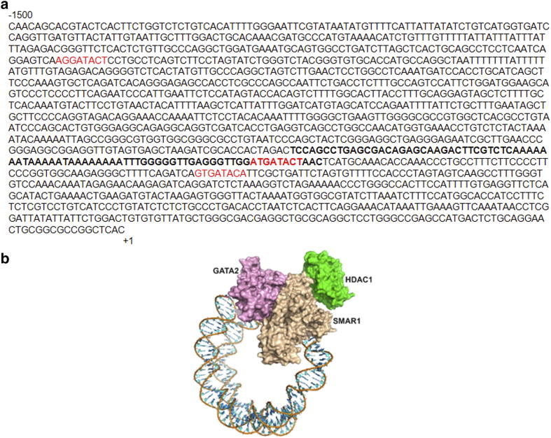 Supplementary figure 3