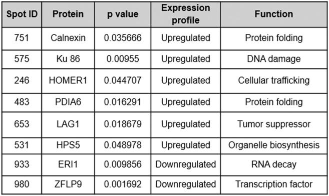 Supplementary Table 1