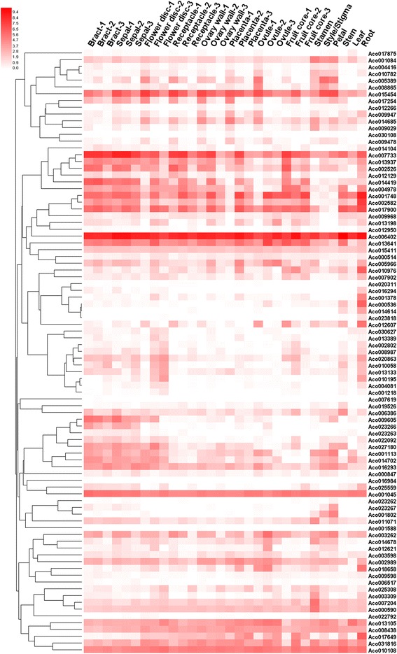 Fig. 7