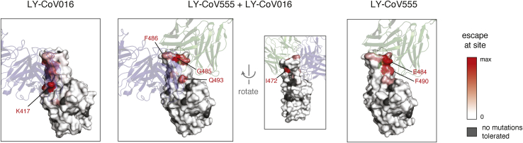 Figure 3