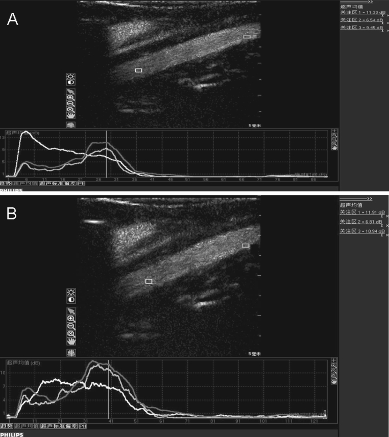 Fig. 6