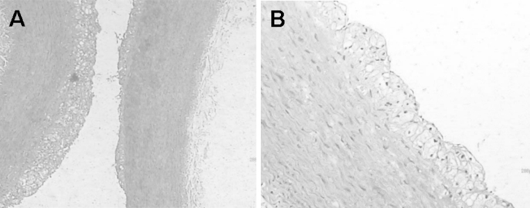 Fig. 7