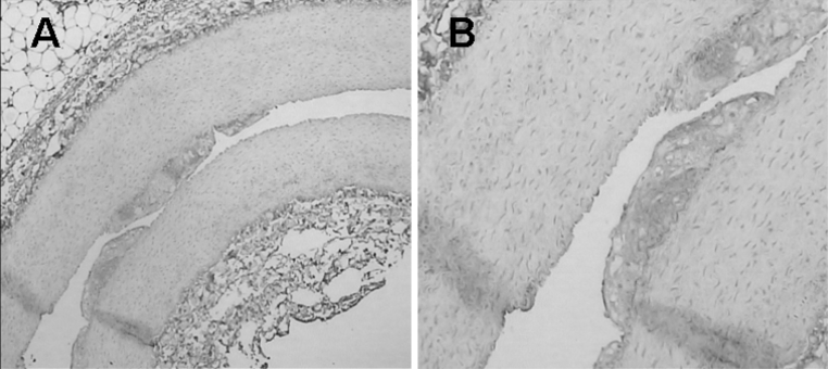 Fig. 9