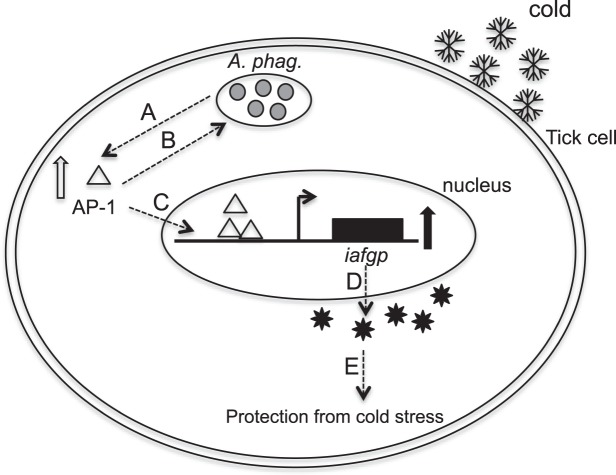 Figure 9