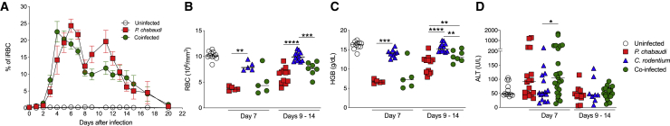 Figure 2