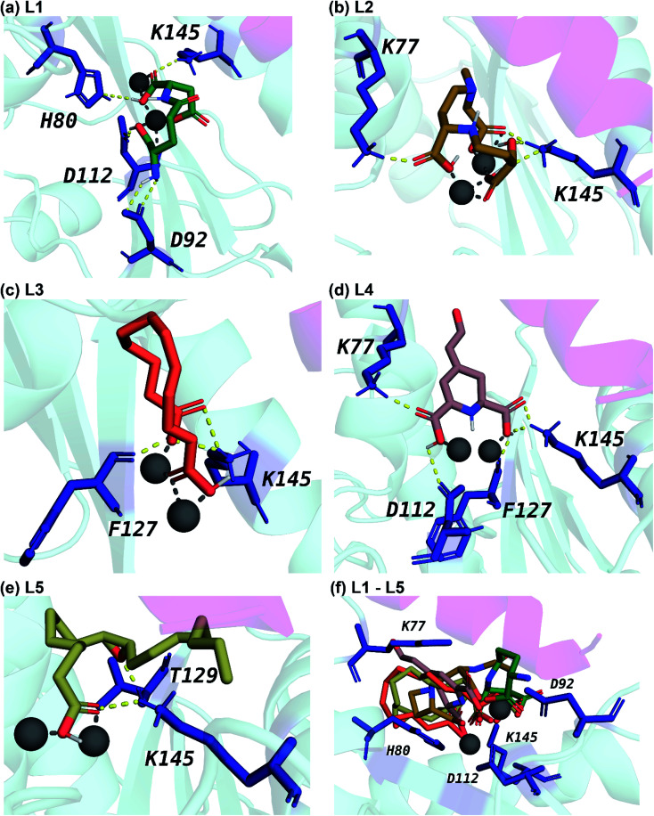 Fig. 6