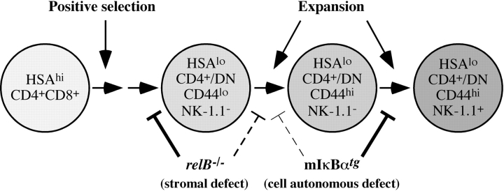 Figure 7.