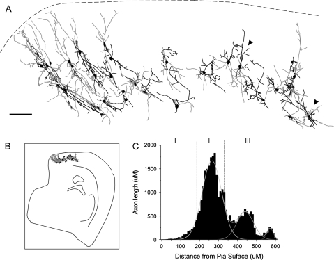 Figure 9.