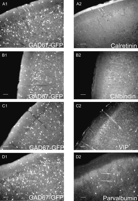 Figure 12.