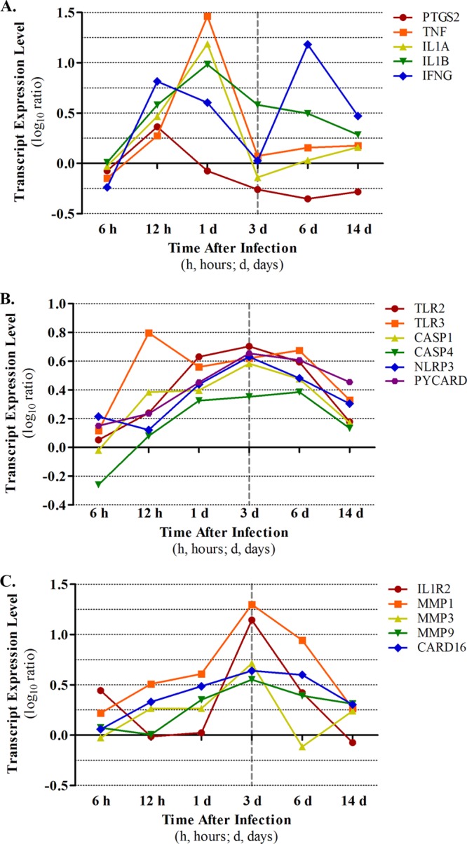 Fig 7