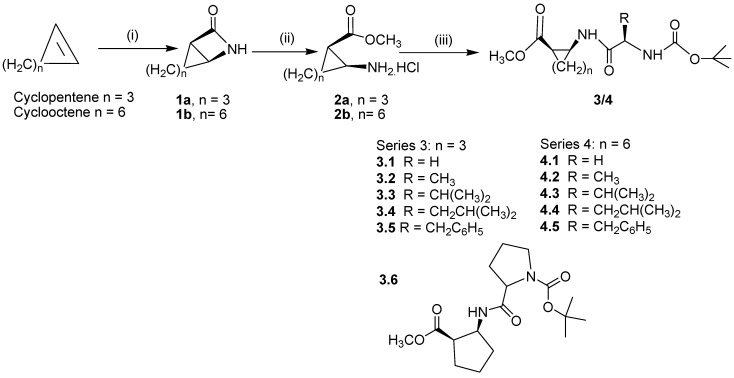 Scheme 1