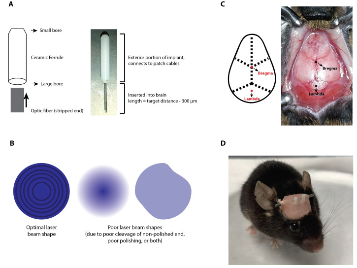 Figure 1.