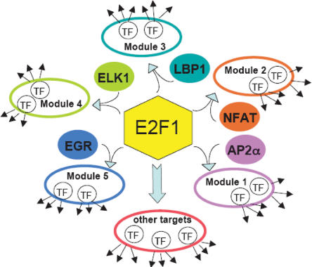 Figure 7.