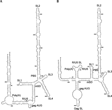 FIGURE 1.