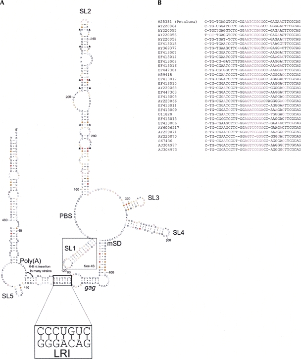 FIGURE 4.