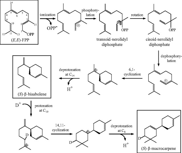 FIGURE 10.