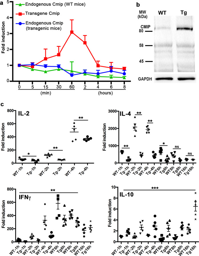 Fig. 4