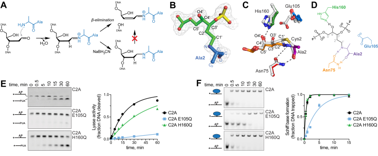 Figure 3