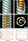 Fig. 5.