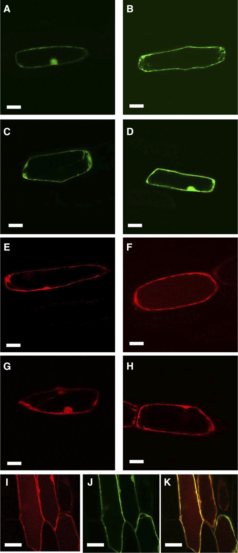 Figure 6.