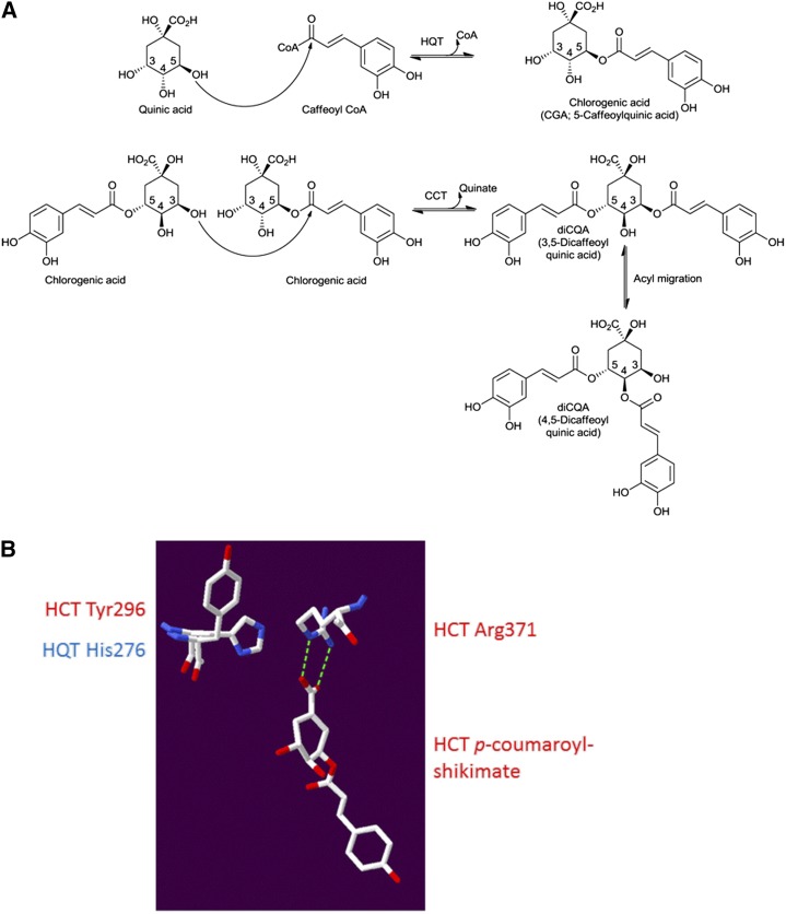 Figure 7.