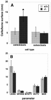 FIG. 2.