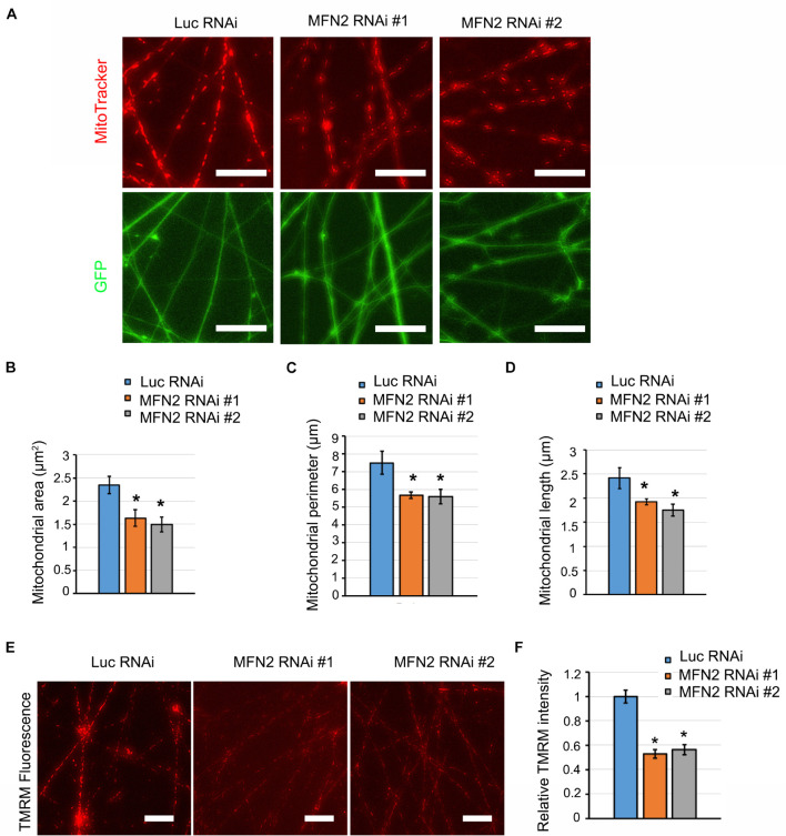 FIGURE 3