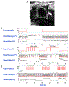 Figure 6: