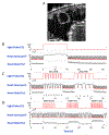 Figure 5: