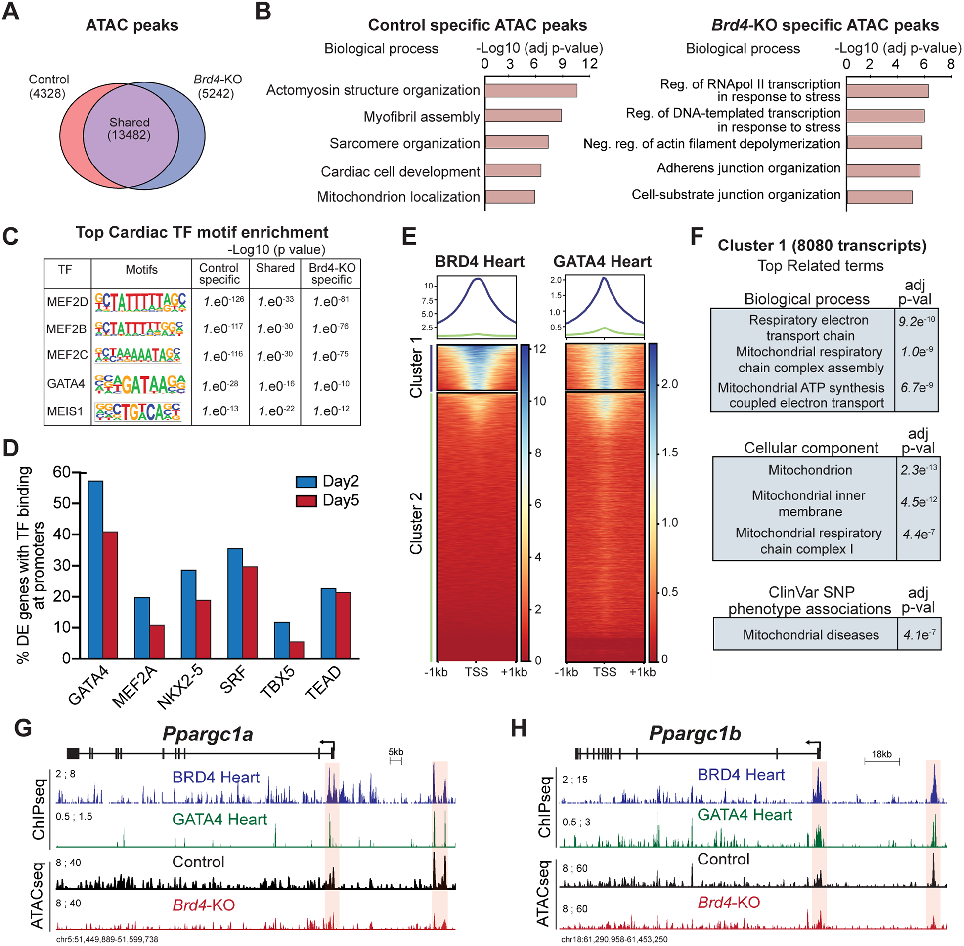 Figure 4: