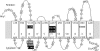 FIG. 7.