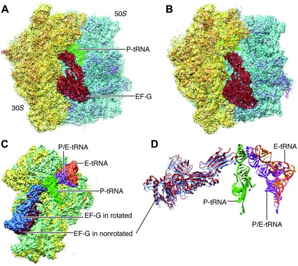 Fig. 3