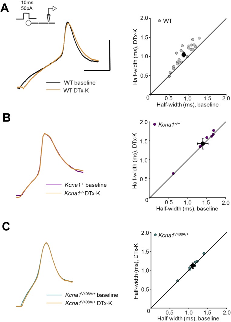 Fig. S4.