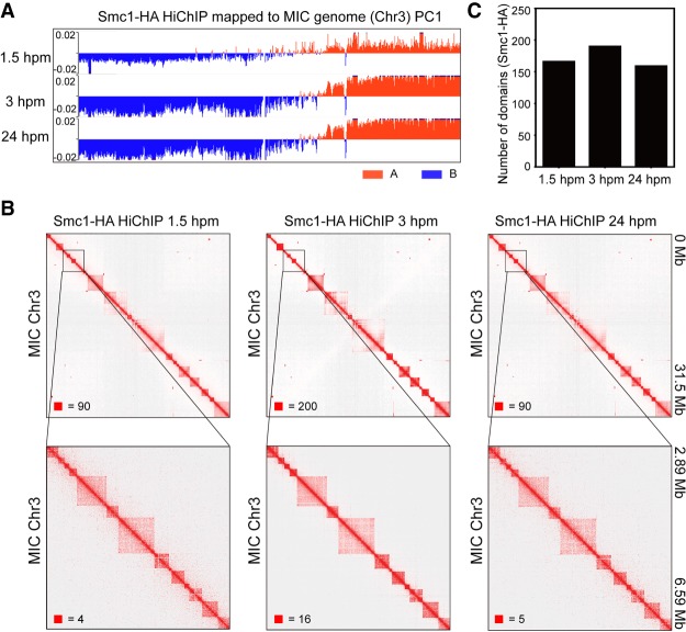 Figure 3.