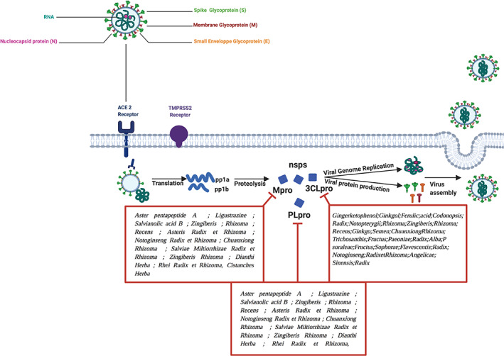 FIGURE 2