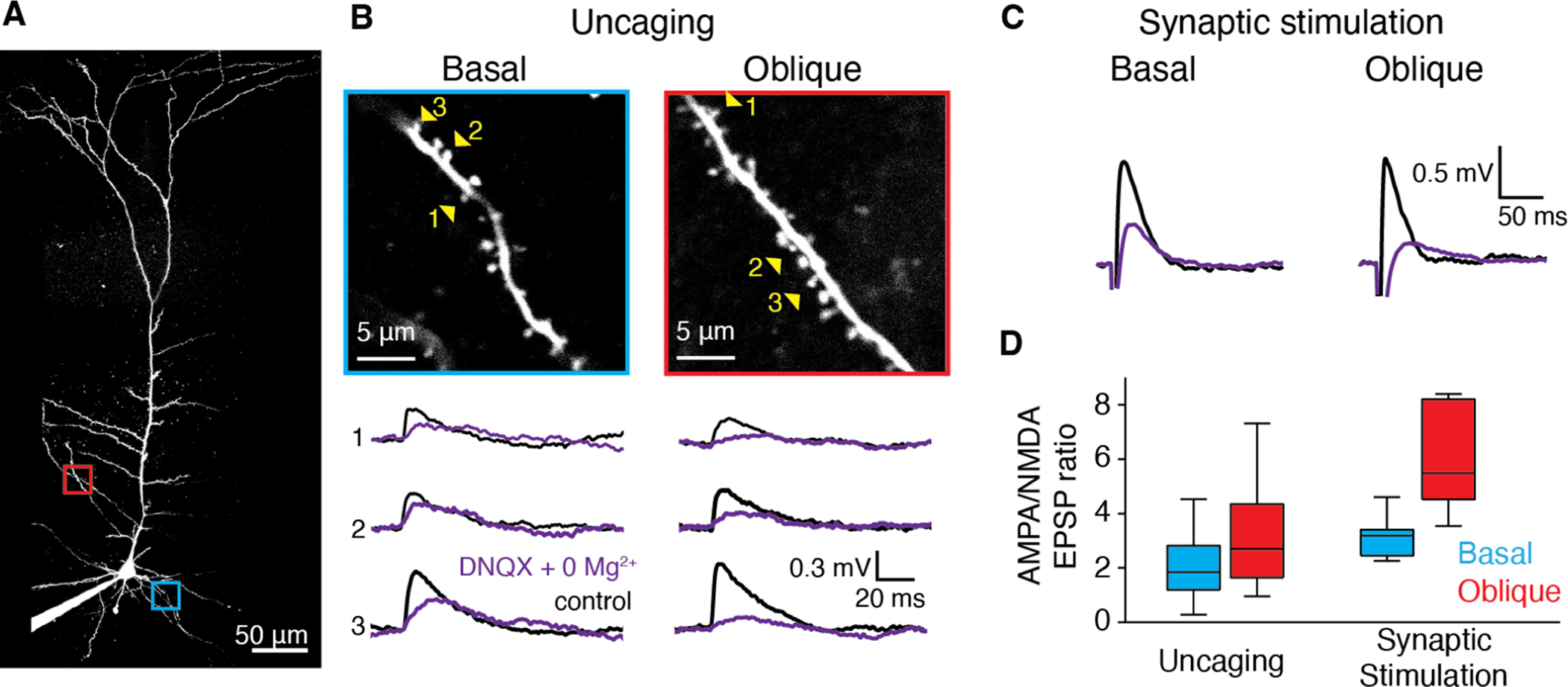 Figure 7: