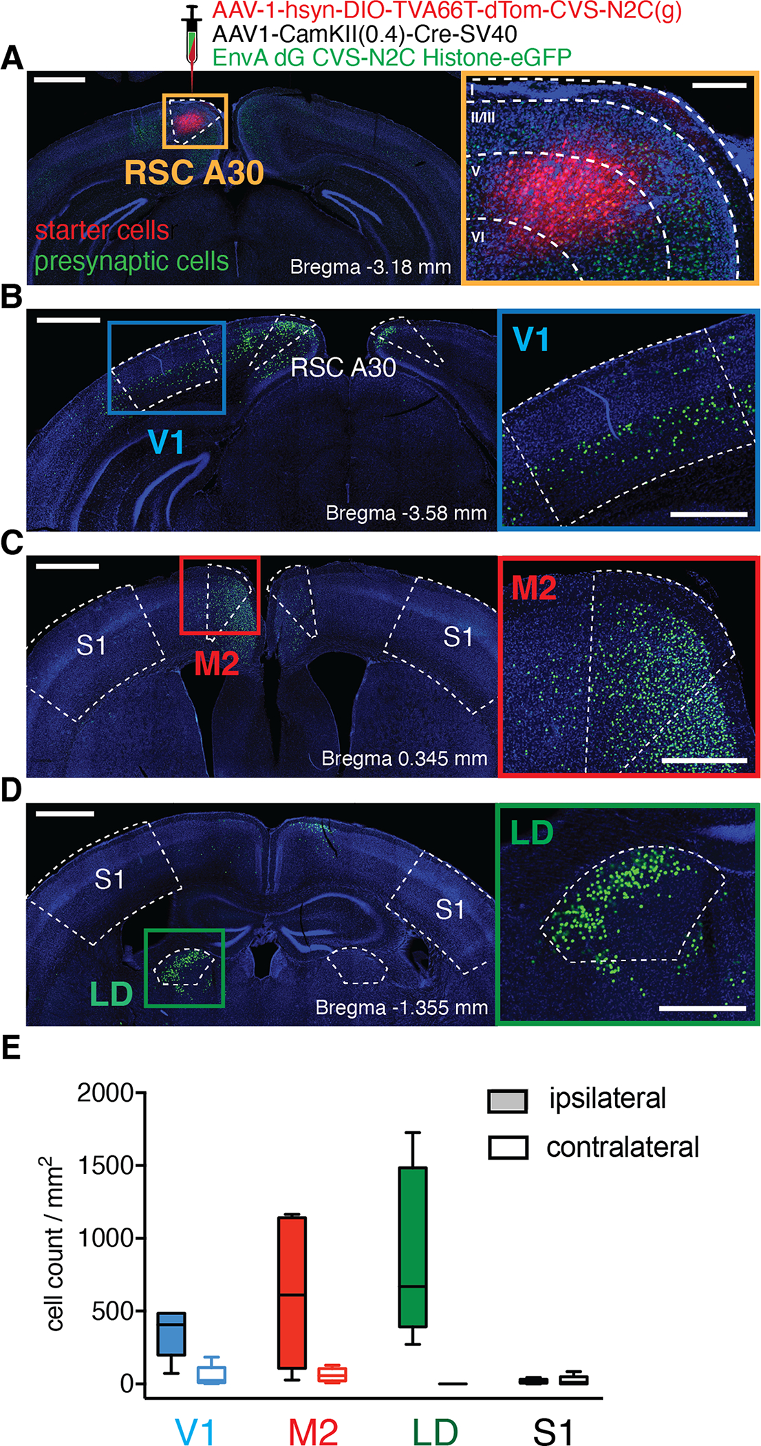 Figure 1: