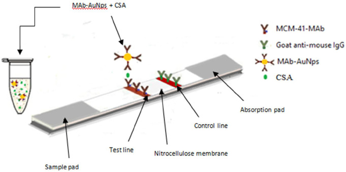 Fig. 1