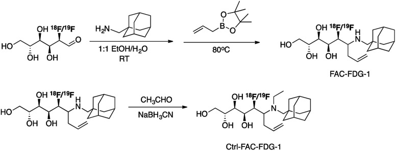 Scheme 2