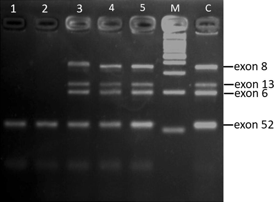 Fig. 1