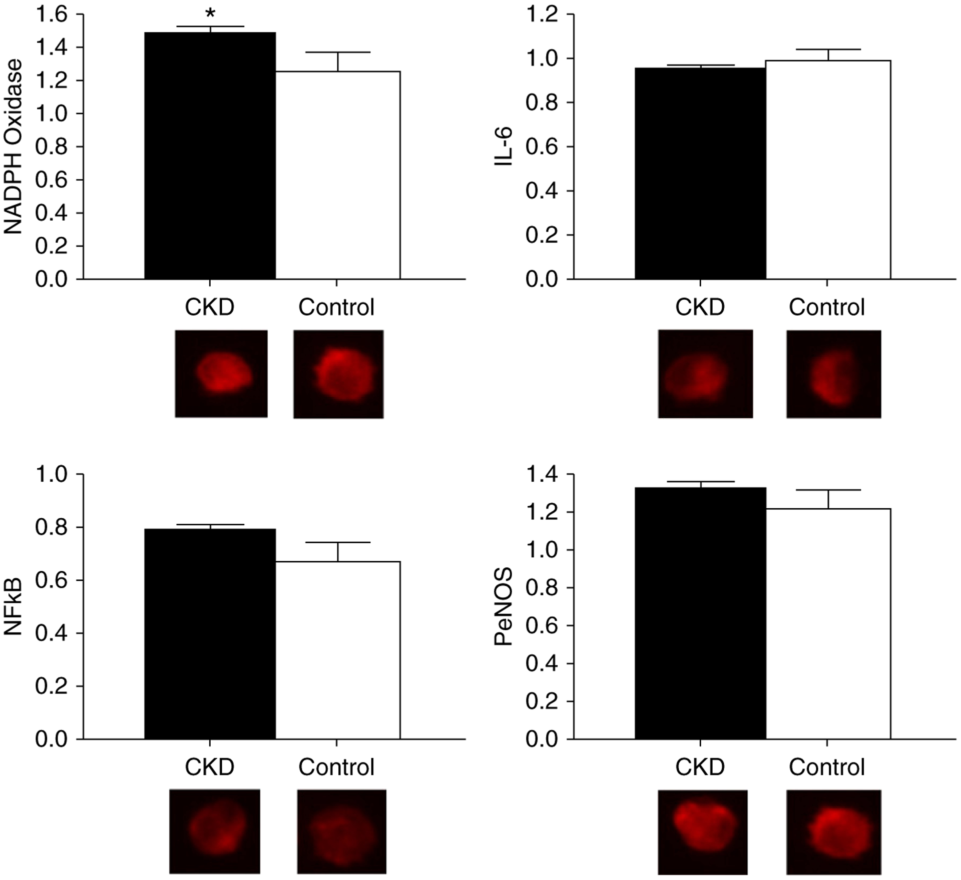 Figure 2. |