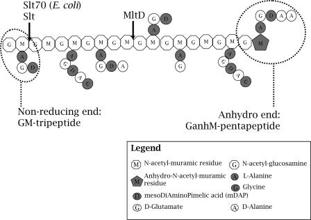 FIG. 7.