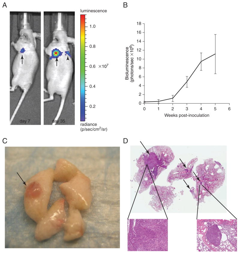 Figure 14.27.2