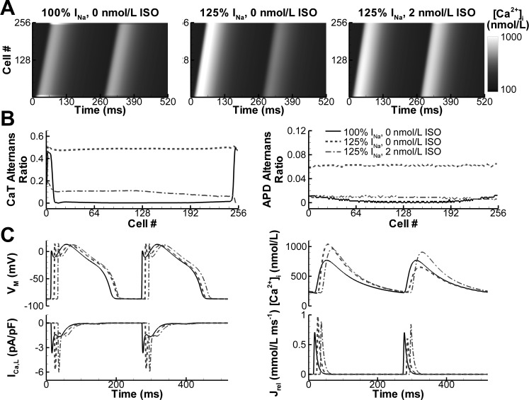 Fig. 7.