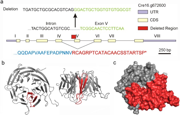 FIGURE 3: