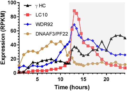 FIGURE 2: