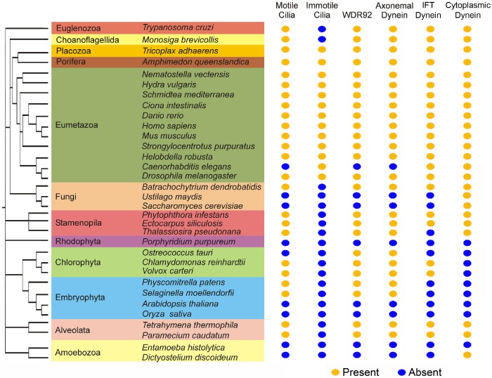 FIGURE 1: