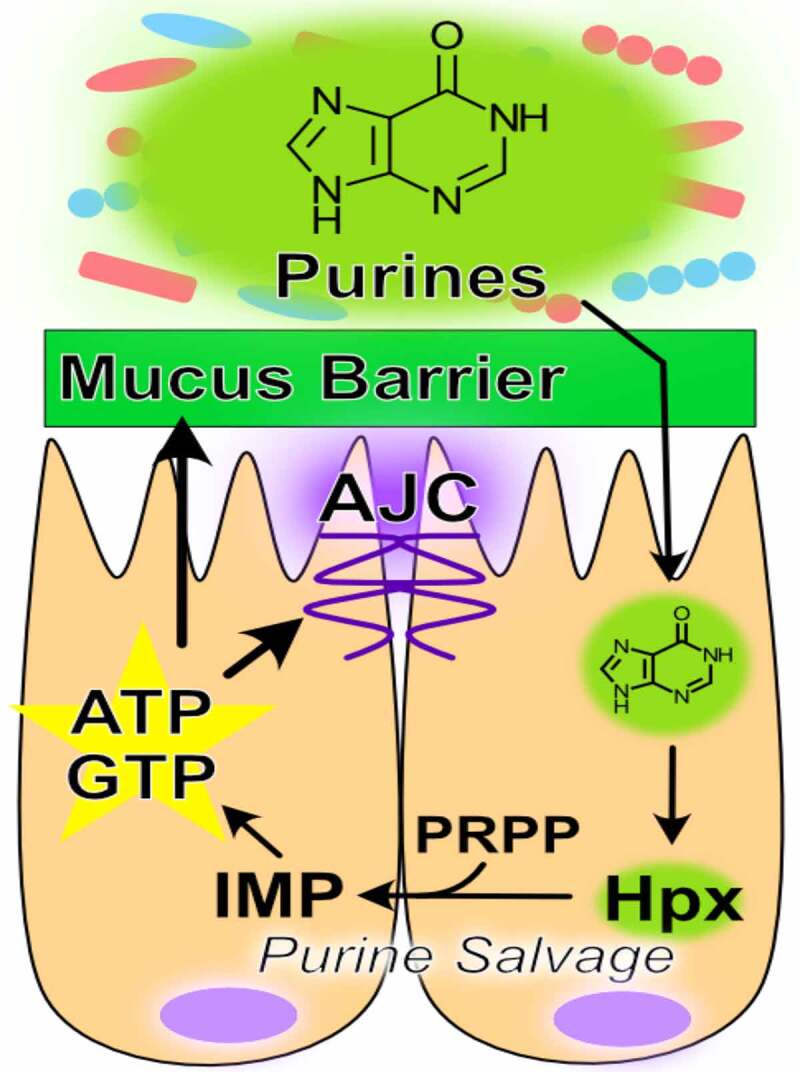 Figure 2.