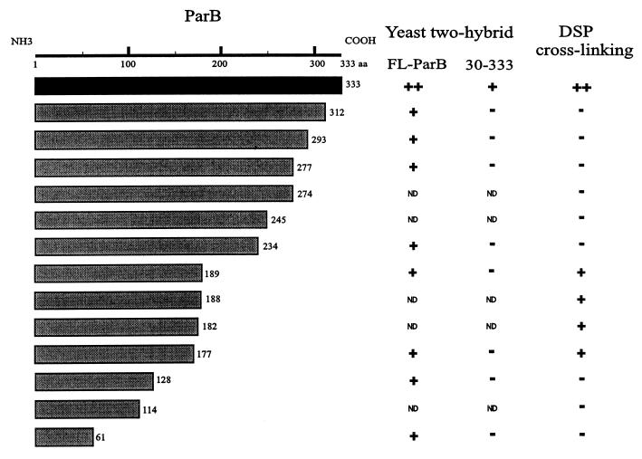 FIG. 8