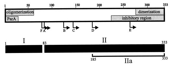 FIG. 9